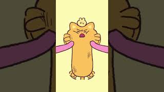 Meet the BOSS cat, Ninimo l The cute orange cat is coming l Teaser 1