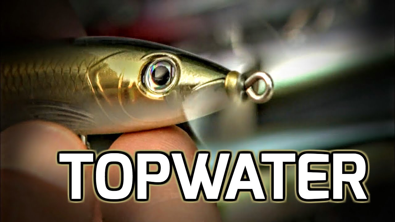 The Best Topwater Lures For Spring And Summer Bass Fishing! 