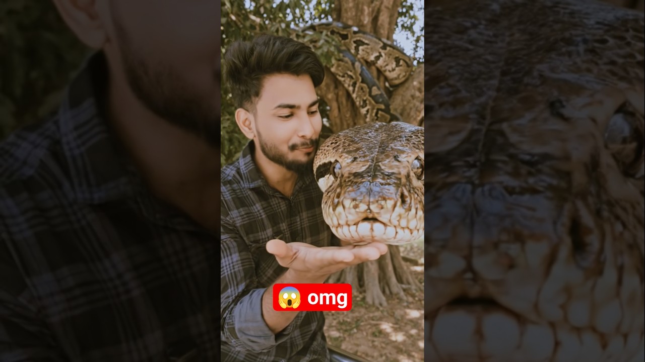 “OMG 😳🐍Ye sach hai ya sirf himmat ka khel?”
