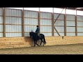 Working Equitation