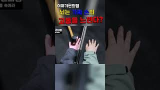 가짜 손에 진짜 고통?! 뇌를 속이는 소름 돋는 착시 현상 #shorts