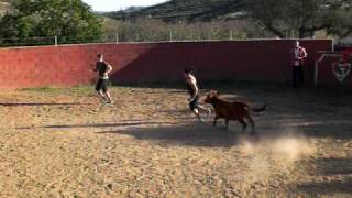 capea 074.AVI