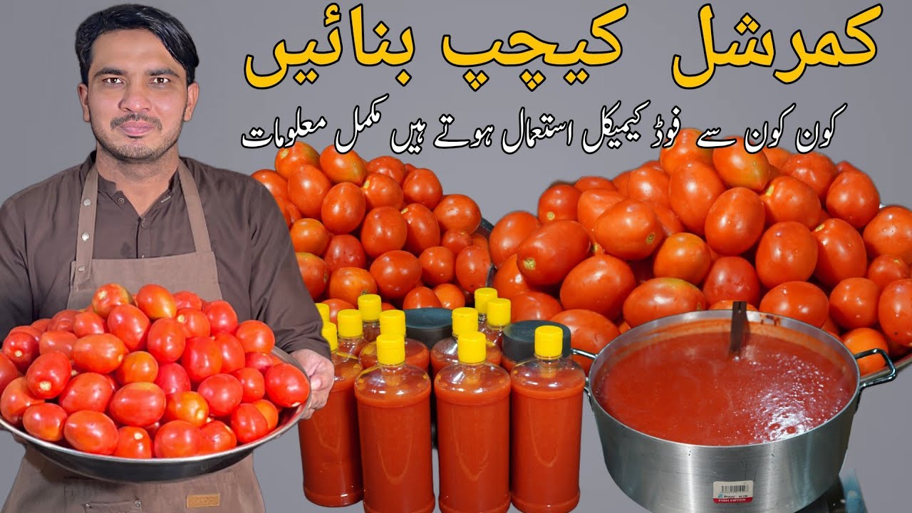 Tomato Ketchup Recipe|Homemade Tomato Sauce| Authentic Tomato Ketchup|Chef M Afzal|