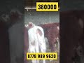 Online Малбазар🔥🔥🔥 Бұқалар 380000т 20 бас