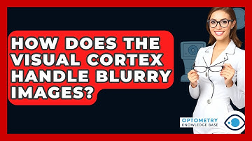 How Does The Visual Cortex Handle Blurry Images? - Optometry Knowledge Base
