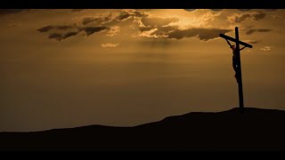 Funeral M For Carol Belli, 42022 At 11Am