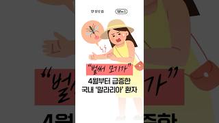 &quot;벌써 모기가&quot;…4월부터 급증한 국내 &#39;말라리아&#39; 환자 [1분뉴스]