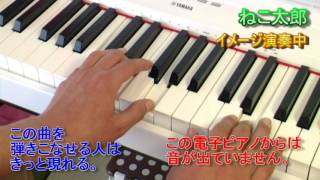 ねこ太郎 しつけと療育 くつろぎ性 ウクレレ編 にあります。 http://blog.livedoor.jp/nekotarou65/archives/cat_49322.html.