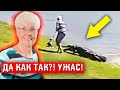 Старушку и её собачку ЗАЖИВО съел аллигатор. Чудовищный случай заснят на камеру / Джек Краймер