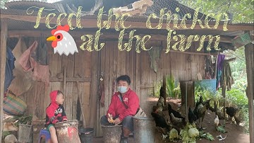 Mus pub qaib pem teb