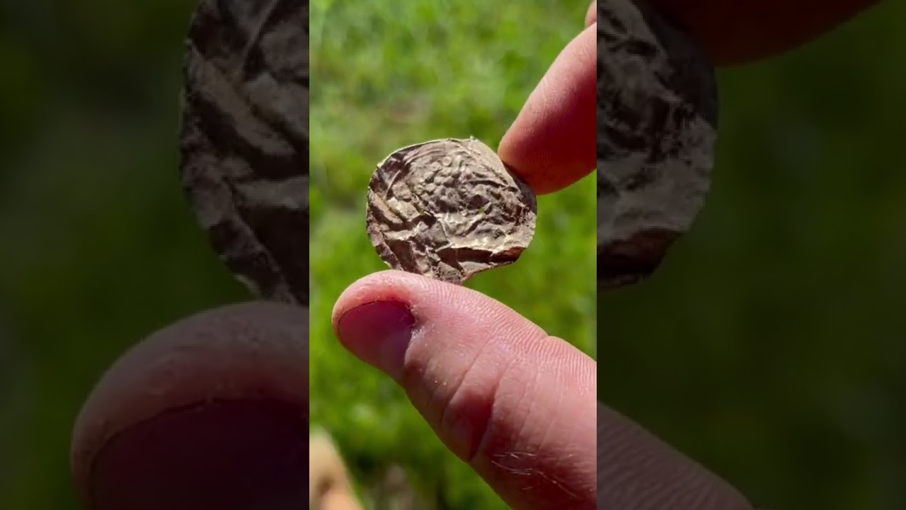 Finally a Gold Hammered Coin ! 