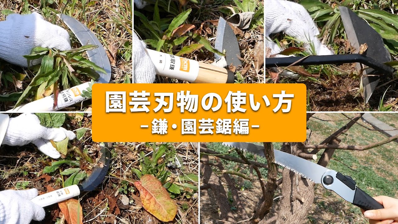 Diy 園芸 ペット用品ならホームセンターのケーヨーd2へ Diy 園芸 ペット用品ならホームセンターのケーヨーd2へ