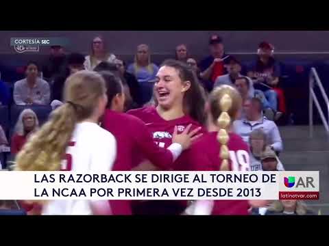 Voleibol; Razorback se dirige al torneo de la NCAA por primera vez desde 2013