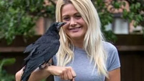 An animal lover who adopted a ROOK says it rules t...