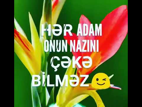 Mələk adına uyğun video kilip 🌹😉👍😊💕