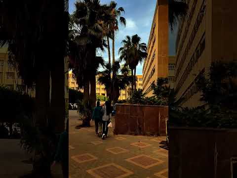 كلية الهندسة جامعه الاسكندريه