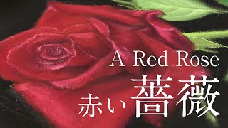 【チョークアート】赤い薔薇  A Red Rose