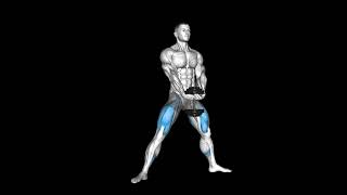 Dumbbell Plyo Squat thighs  اسکات تک دمبل پا باز