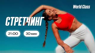 СТРЕТЧИНГ с Еленой Жиляевой | 16 июня 2026 | Онлайн-тренировки World Class