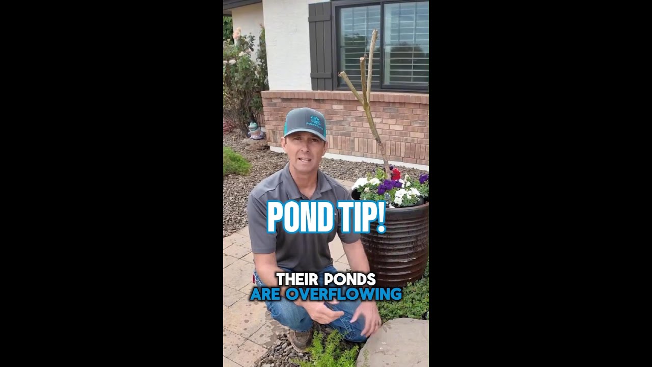 Avoid This Common Pond Overflow Mistake! #shorts