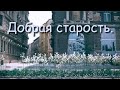 ОЧЕНЬ МИЛАЯ ИСТОРИЯ! БАБУШКА - ГЕРОЙ ВЕРЫ! ОСКАЛЕНКО А. Н.