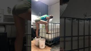 BTS 👀 New Rum Batch Fermentation! #shorts #rum