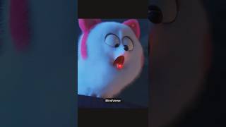 she is the chosen one" #secretlifeofpets #secretlifeofpets2 #gidget #norman #cat
