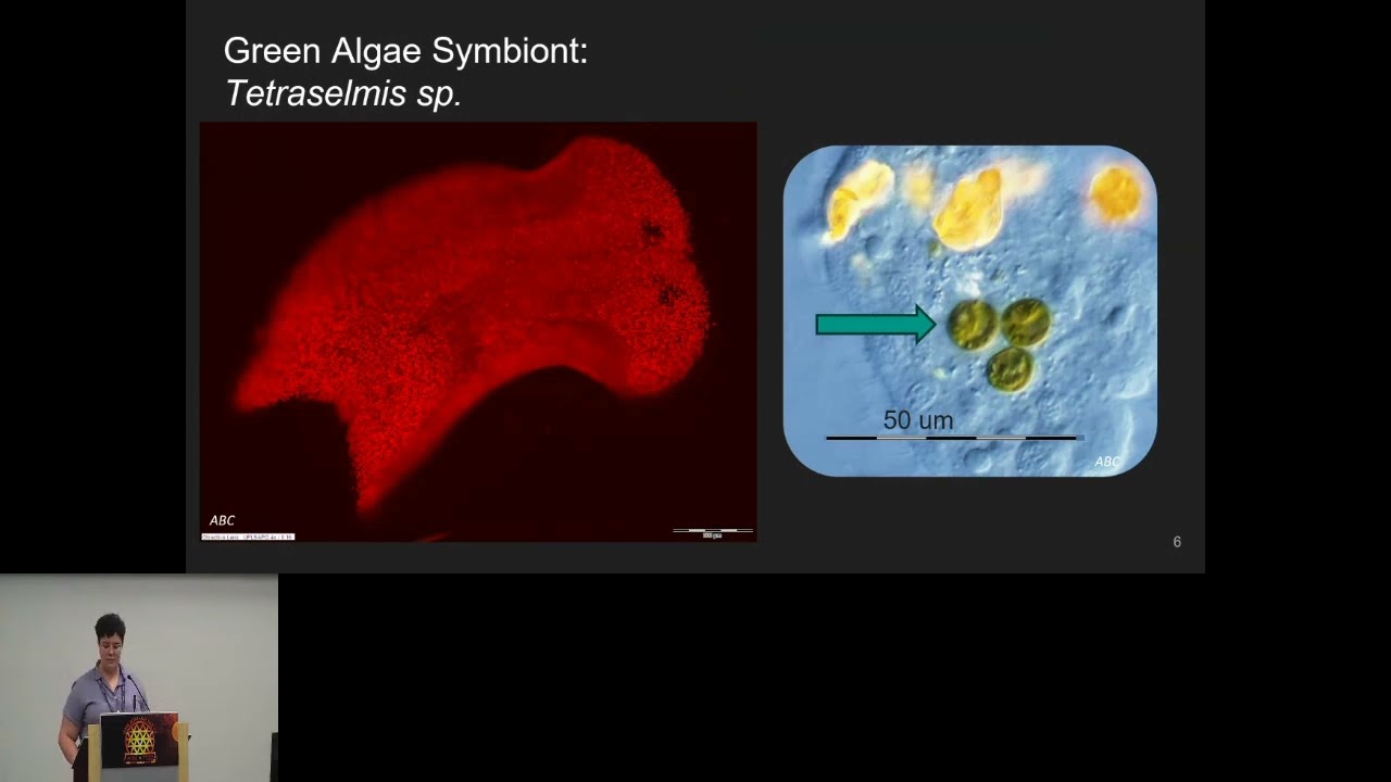 Elucidating the Co-Evolution and Genetic Diversity of... - Adena Collens - EvolCompGen - ISMB 2024