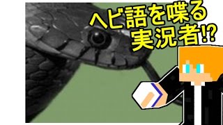 【魔女の家】ヘビ語を喋る実況者？【ストームと大笑いの実況】３ screenshot 1
