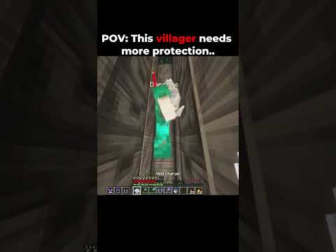 POV: This villager needs more protection..  #minecraft