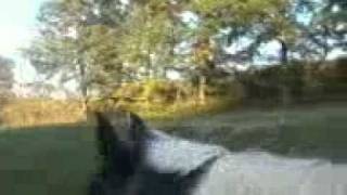 Desarah On My Horse Katie