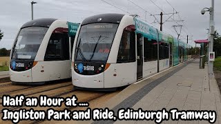 Half an Hour at (429) - Ingliston Park and Ride Tram Stop 01.08.2023 - Edinburgh Trams