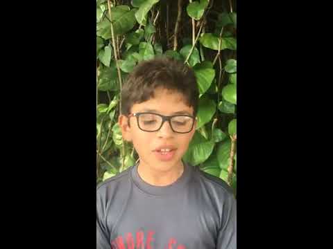 The Biltmore School Lizards on the Loose Challenge 3 2016-17