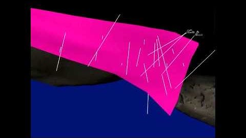 Miya 2012 3D Visualization