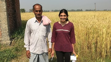 Research Spotlight: Satellite data helps Indian farmers boost crop yields