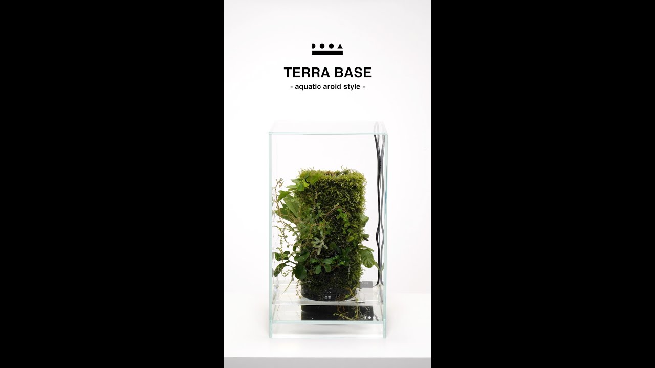 DOOA TERRA BASE (Made of Clay) – Aqua Forest Aquarium