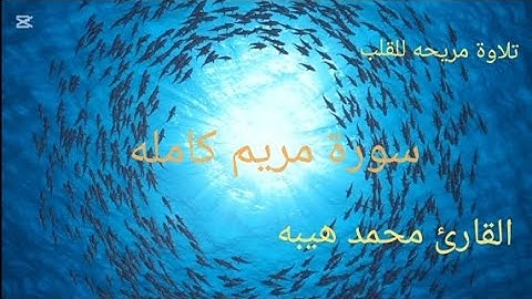 تلاوة خاشعة سورة ||مريم|| كاملة القارئ محمد هيبه #قران #المصحف #ترند #تلاوة_خاشعة #تلاوة_خاشعة