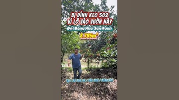 Vườn này đẹp mê ly luôn . 8.785m² . 190m mặt tiền hiện hữu . Gần MaDaGui Lâm Đồng #batdongsan