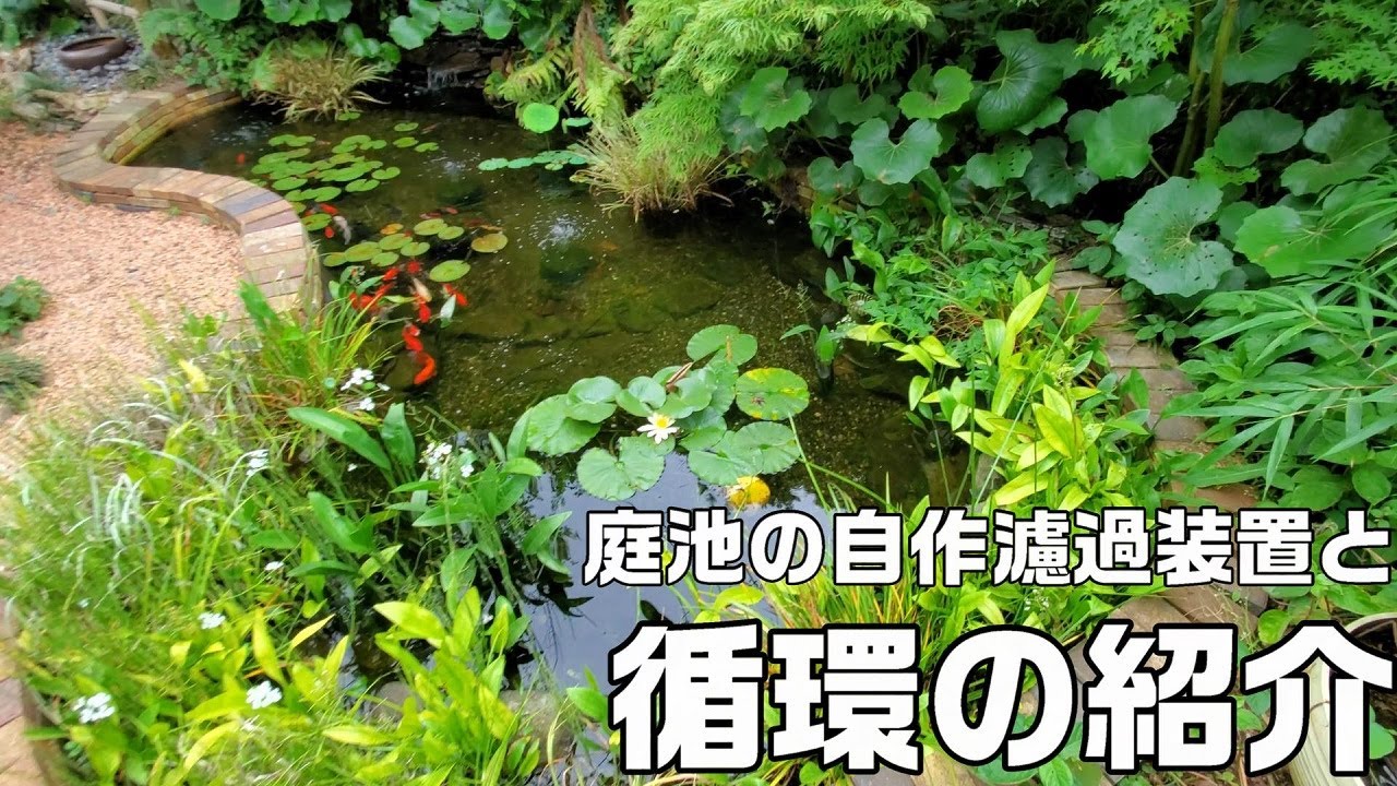 【DIY】庭池ビオトープの自作濾過装置と池の水の循環、夜の様子の紹介。