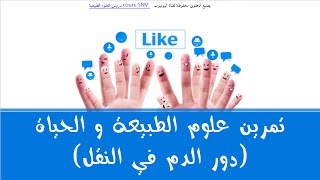 حل تمرين للسنة الرابعة متوسط علوم الطبيعة و الحياة (دور الدم في النقل)