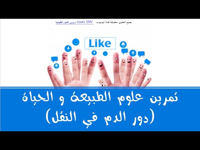 حل تمرين للسنة الرابعة متوسط علوم الطبيعة و الحياة (دور الدم في النقل)