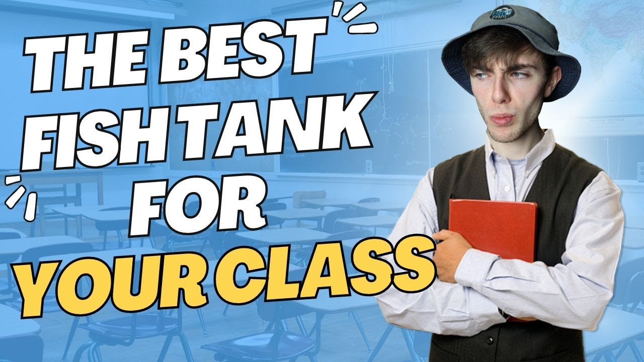 Teachers NEED to watch this before getting a Fishtank!