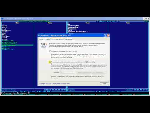 Distributed Computing - MQL5 Cloud Network