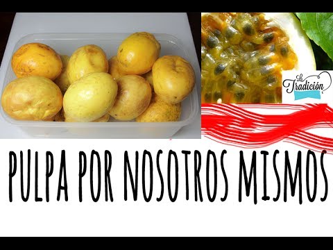 Pulpa Maracuya / passion fruit pulp