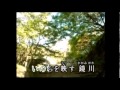 鏡川♬鏡 五郎 COVER(まちゃ)