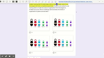 Google Form + Read & Write Extension