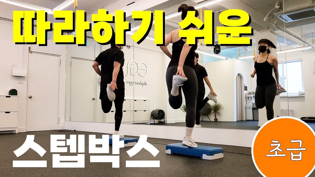 [초급03] 스텝박스로 다이어트에 성공했다.