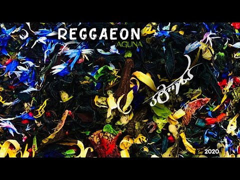 REGGAEON - აგუნა | Aguna