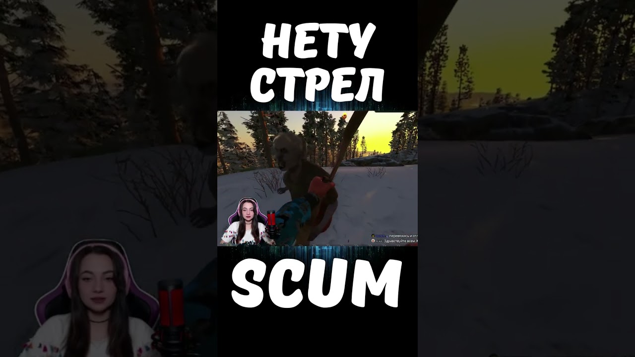 НЕТУ СТРЕЛ 