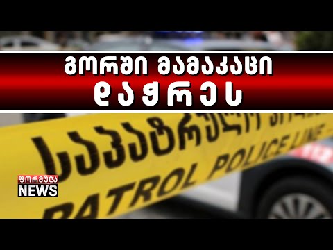 გორში მამაკაცსა და მცირეწლოვანს ცეცხლი გაუხსნეს